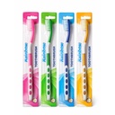[HIG-00136] Cepillo Dental Rainbow - Colores Surtidos