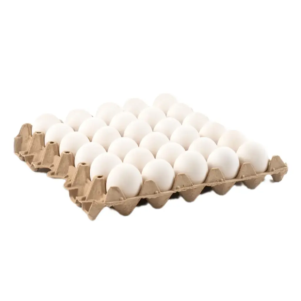 Carton de huevo